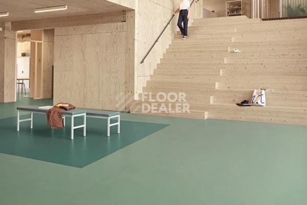 Линолеум Marmoleum Decibel on Order 375235 taiga фото 1 | FLOORDEALER